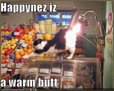 funny pictures
